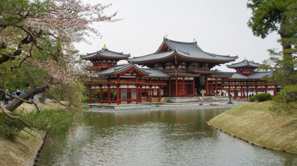 Temple Byodo-in à Uji, Pavillon du Phénix et cerisier