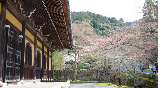Nanzen-ji, Dharma Hatto et sakura