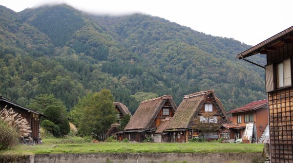 Shirakawa-go, Maisons aux toits de chaume
