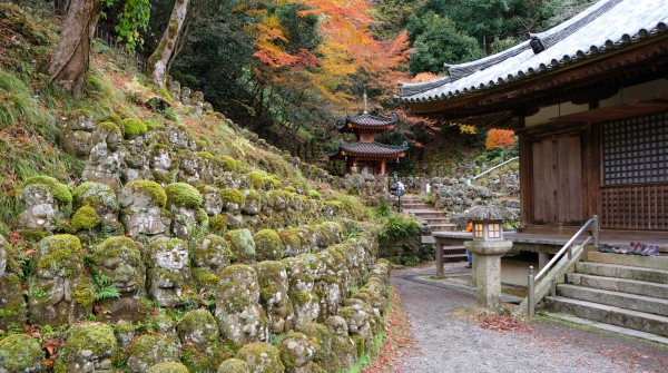 Otagi Nenbutsu-ji (Kyoto), rangées de statues Rakan autour du pavillon principal