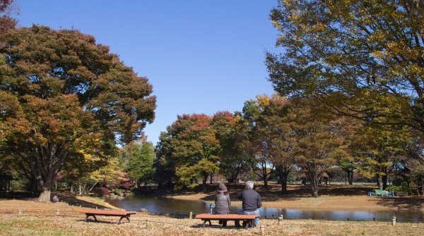 Parc Mémorial Showa (Tokyo) 2
