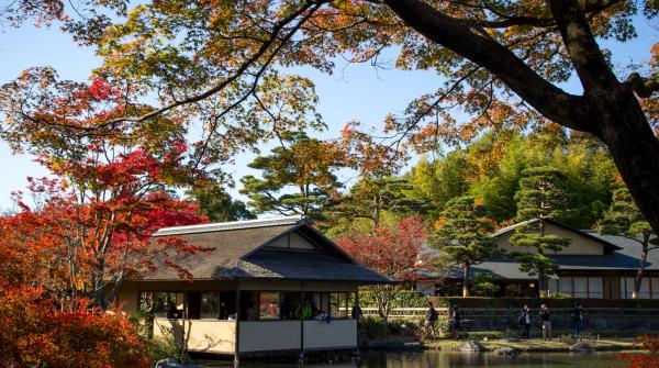 Jardin japonais au parc Memorial Showa 2