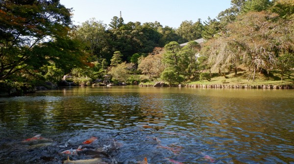Parc du Narita-san, plan d'eau avec carpes koi et jardin japonais