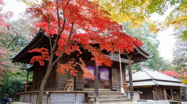 Pavillon du Heirin-ji en automne 2