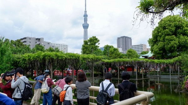 Vue sur Tokyo SkyTree depuis le sanctuaire Kameido Tenjin