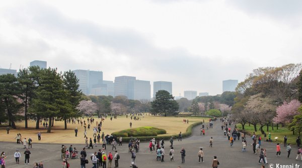 Vue sur Kokyo Higashi Gyoen en période de sakura