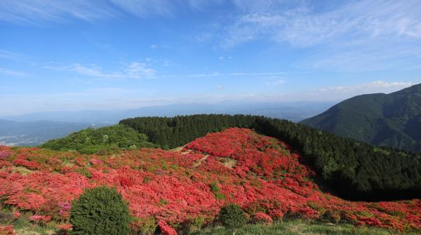 Vue sur les azalées du mont Yamato Katsuragi-san (Nara) 3