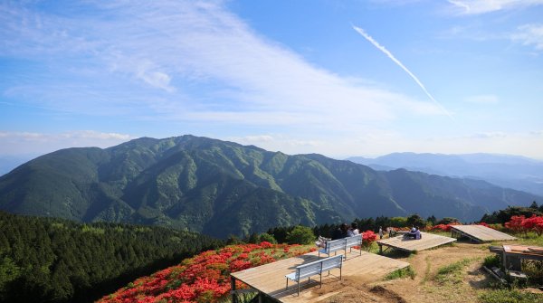 Vue sur les azalées du mont Yamato Katsuragi-san (Nara) 2