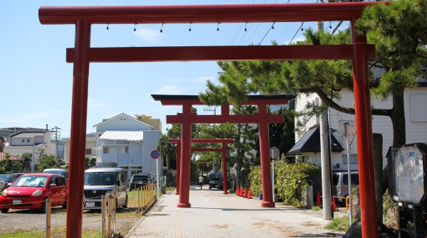 Hayama, portes torii du sanctuaire Morito-daimyojin