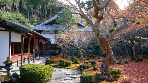 Enko-ji, vue sur le jardin Jyu-gyu no niwa en automne
