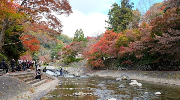 Quartier de Yase, rivière Takano et érables rouges non loin du Ruriko-in 3