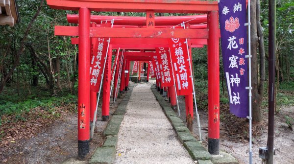 Kumano (Mie), allée de torii du sanctuaire Hana-no-iwaya
