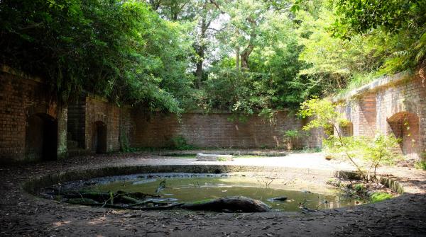 Tomogashima (Wakayama), ruines de la 3e batterie de canons sur l'île Okinoshima
