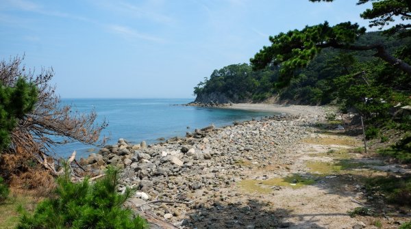 Tomogashima (Wakayama), littoral rocheux de l'île Okinoshima