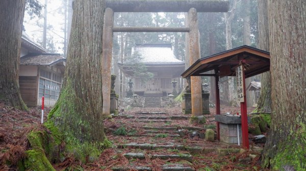 Kinpo-jinja (Akita), vue de l'enceinte shinto dans la forêt de cèdres