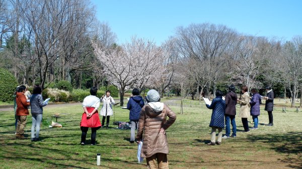 Parc Koganei (Tokyo), réunion extérieure d'une chorale