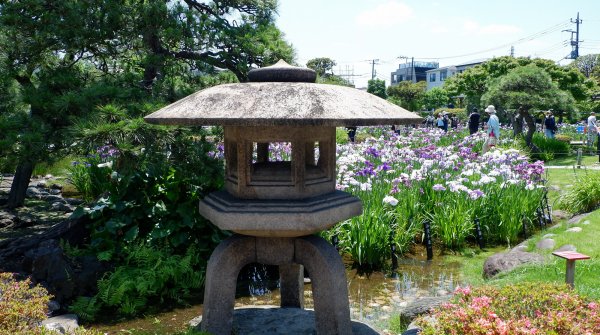  Horikiri Shobu-en (Tokyo), lanterne du jardin jarponais