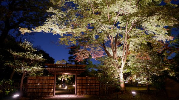 Illuminations automnales du Rikugi-en (Tokyo), porte intérieure dans l'enceinte du jardin