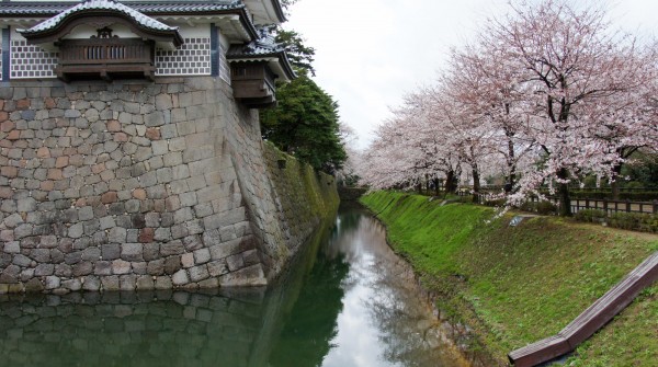 Vue sur le château de Kanazawa et les cerisiers en fleur 2