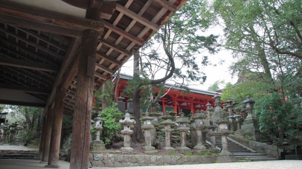 Sanctuaire Kasuga Taisha à Nara