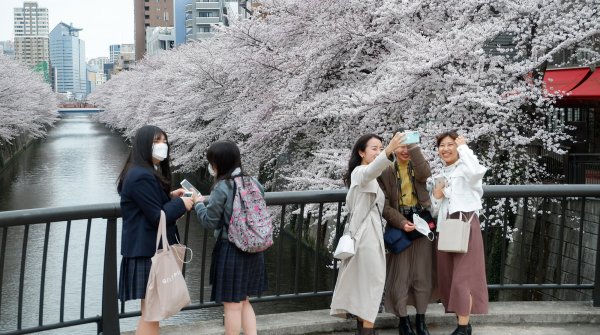Nakameguro (Tokyo), Japonaises avec et sans masque pendant la floraison des cerisiers