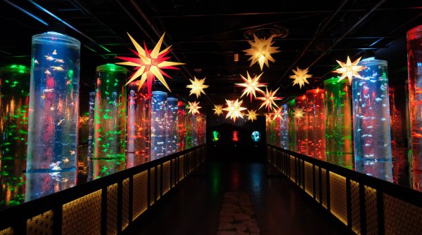 Art Aquarium Museum GINZA (Tokyo), espace d'exposition Goldfish corridor
