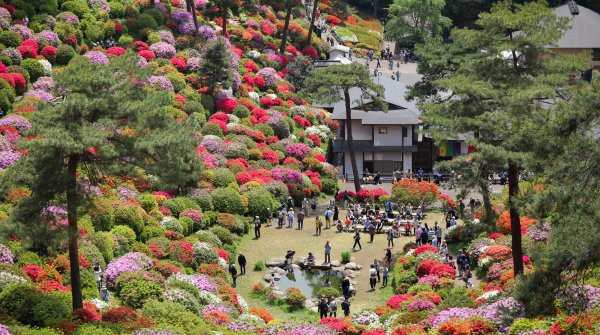 Golden Week au Japon, foule pour la floraison des azalées au temple Shiofune Kannon-ji à Ome (Tokyo) 2