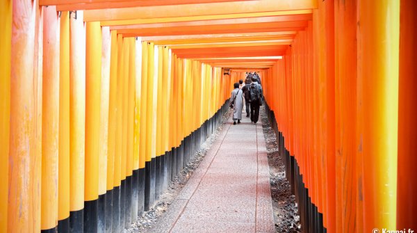 Fushimi Inari Taisha à Kyoto, Tunnel de portes torii en hiver