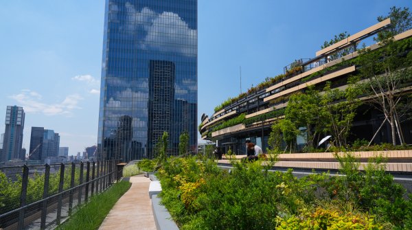 MoN Takanawa (Tokyo), Terrasse végétalisée du musée avec vue sur les voies de chemin de fer