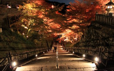 Kiyomizudera Momiji Nuit 15