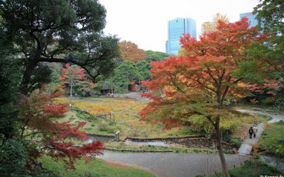 Koishikawa Korakuen 10