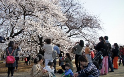 Shinjuku Gyoen 13