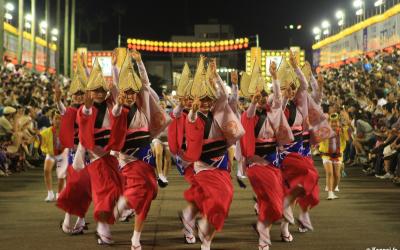 Festival Awa-odori à Tokushima (Shikoku), Groupe de danseuses