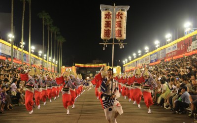 Awa Odori 4