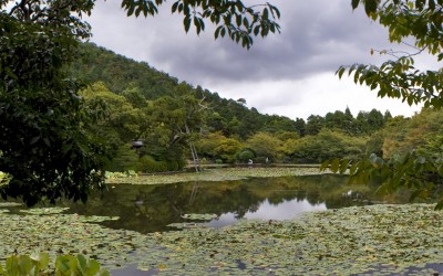 Ryoan Ji 1