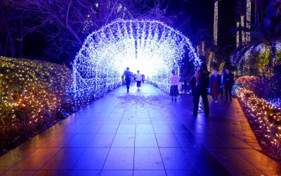 Enoshima, Illuminations Shonan no Hoseki