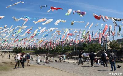 Takatsuki (Osaka), cerf-volants koi nobori au-dessus de la rivière Akuta au parc Akutagawa Sakurazutsumi