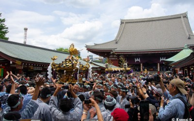 Sanja Matsuri, parade de mikoshi au Senso-ji