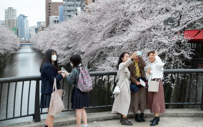 Nakameguro (Tokyo), Japonaises avec et sans masque pendant la floraison des cerisiers