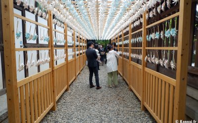 Kawagoe Hikawa-jinja, tunnel de moulins à vent du sanctuaire