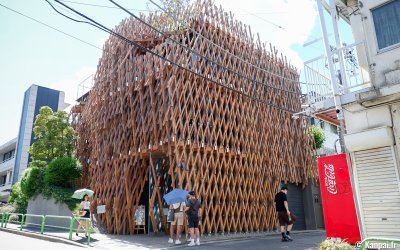 Sunny Hills (Tokyo), vue sur la structure en treillis de bois de Kengo Kuma