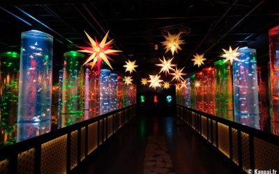 Art Aquarium Museum GINZA (Tokyo), espace d'exposition Goldfish corridor