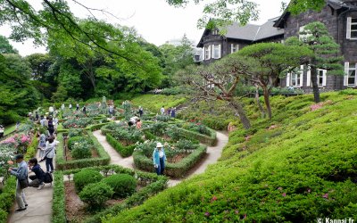 Kyu Furukawa Teien (Tokyo), vue sur le jardin de roses en fleurs devant l'ancienne résidence Furukawa