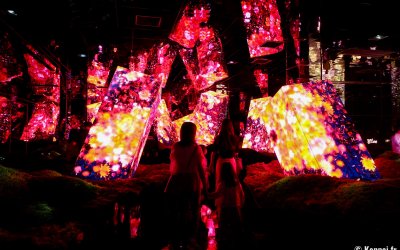 teamLab Biovortex Kyoto, Megaliths in the Eternal Existence of the Open Universe