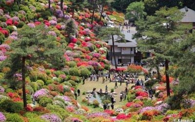 Golden Week au Japon, foule pour la floraison des azalées au temple Shiofune Kannon-ji à Ome (Tokyo) 2