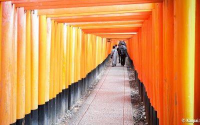 Fushimi Inari Taisha à Kyoto, Tunnel de portes torii en hiver