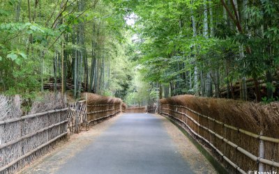 Take no Michi (Muko), Chemin traversant la bambouseraie et ses clôtures en bambou