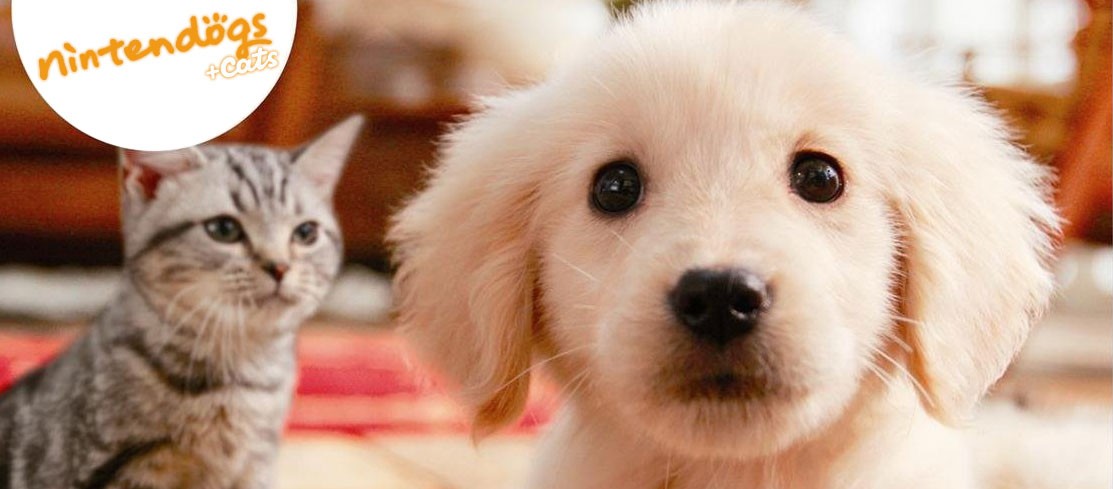 Nintendogs Cats Maison Nintendogs Cats Maison