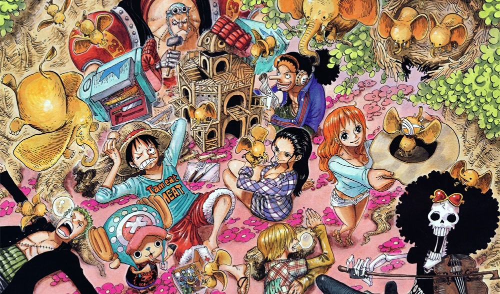 One piece animation change information