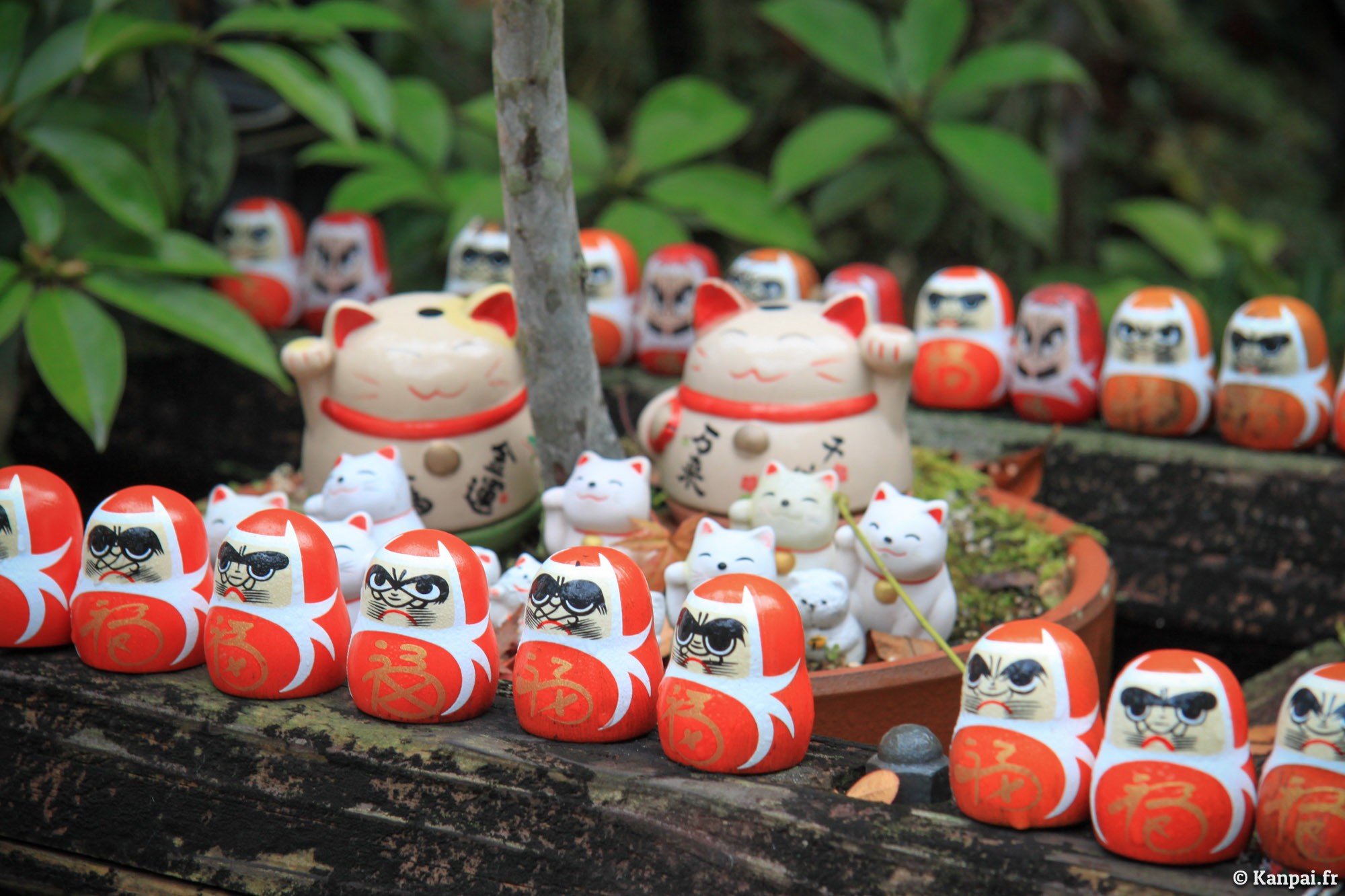 La légende du Maneki Neko -Chat Japonais Porte-bonheur - Art Saigon